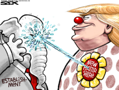 CLOWN KING  by Steve Sack