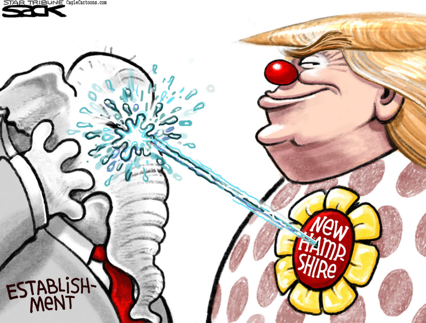 Clown King COLOR