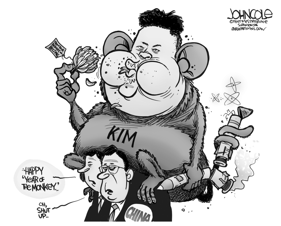 Year of the Monkey BW