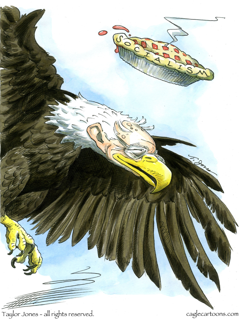 American Bernie - COLOR