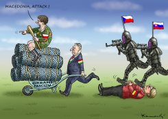THE FASCISM IS THE EU WINNER AGAIN by Marian Kamensky