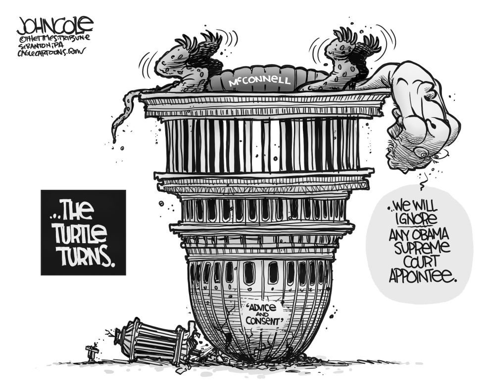 McConnell turns turtle BW