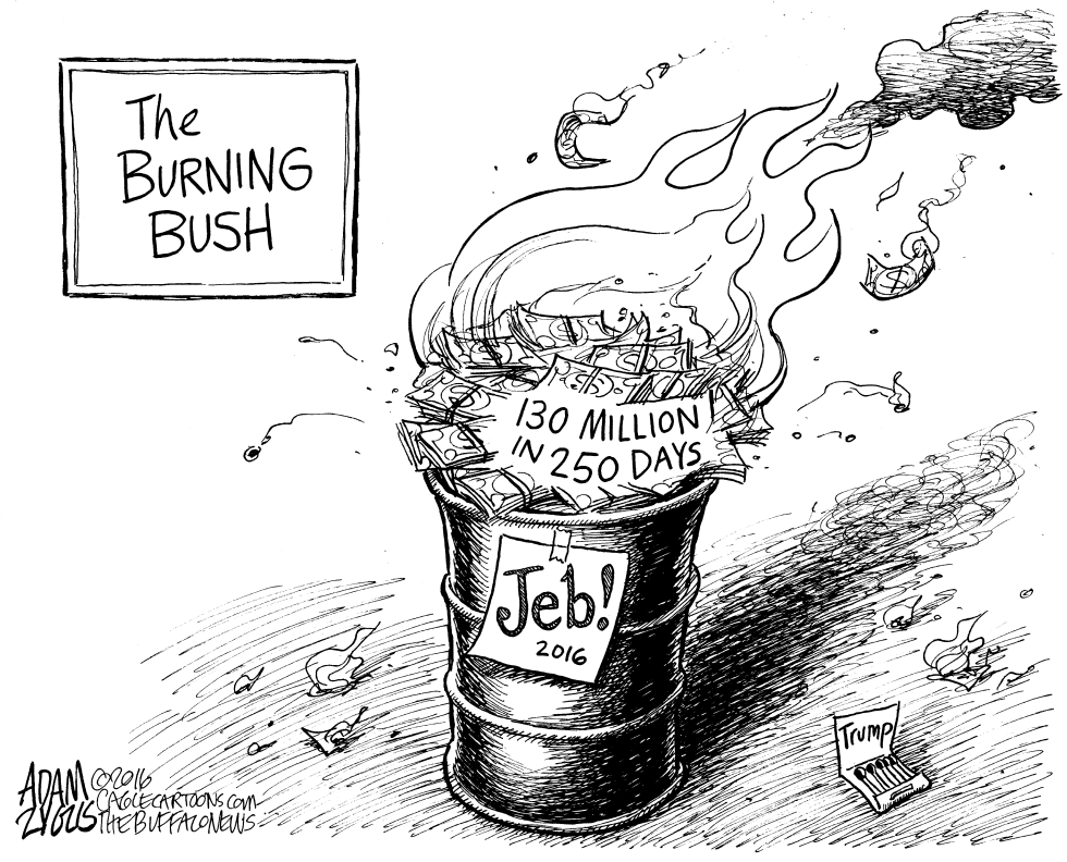 Jeb campaign