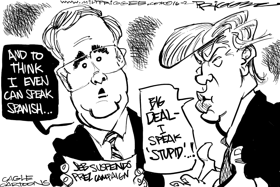 Jeb