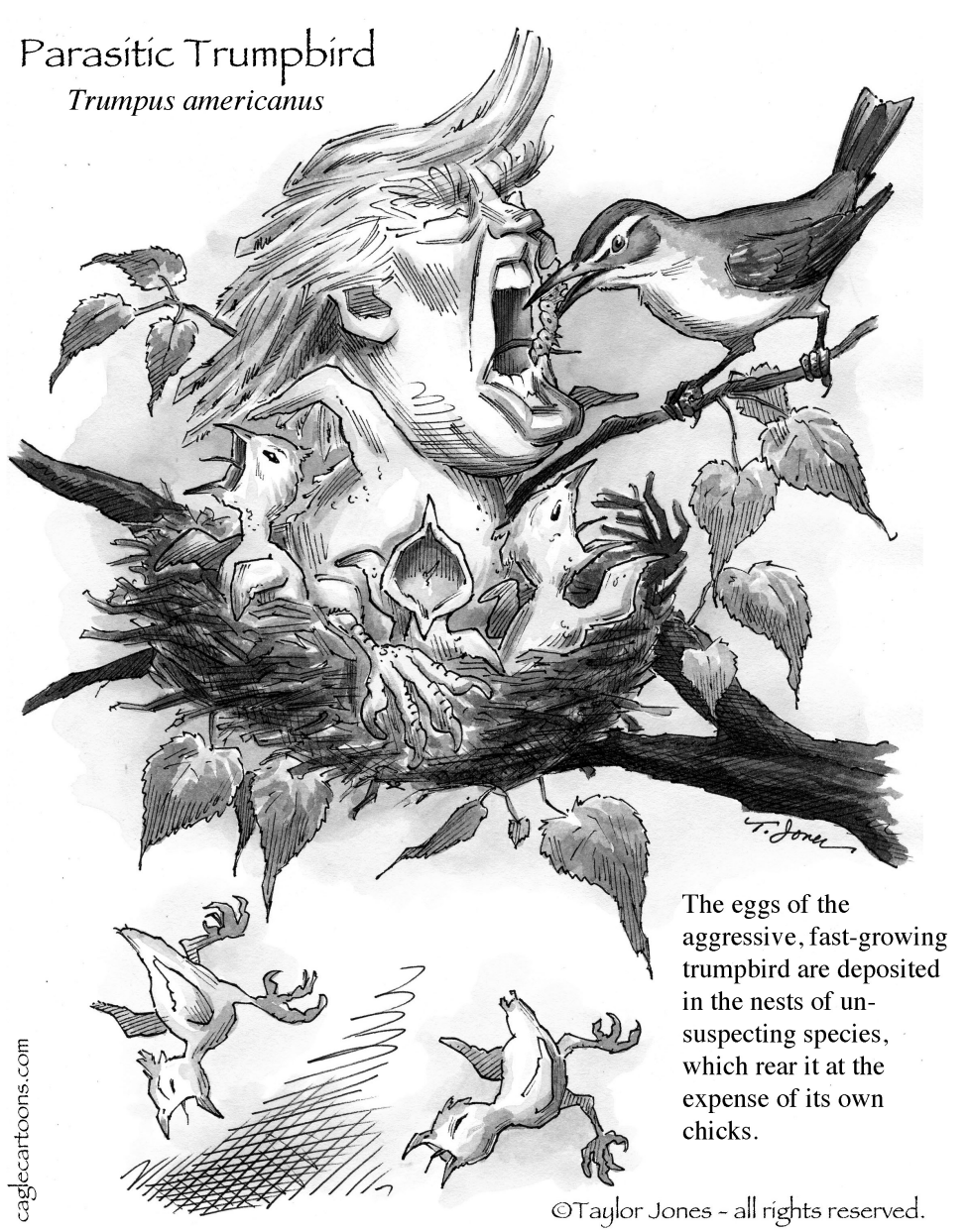 Springtime for Donald