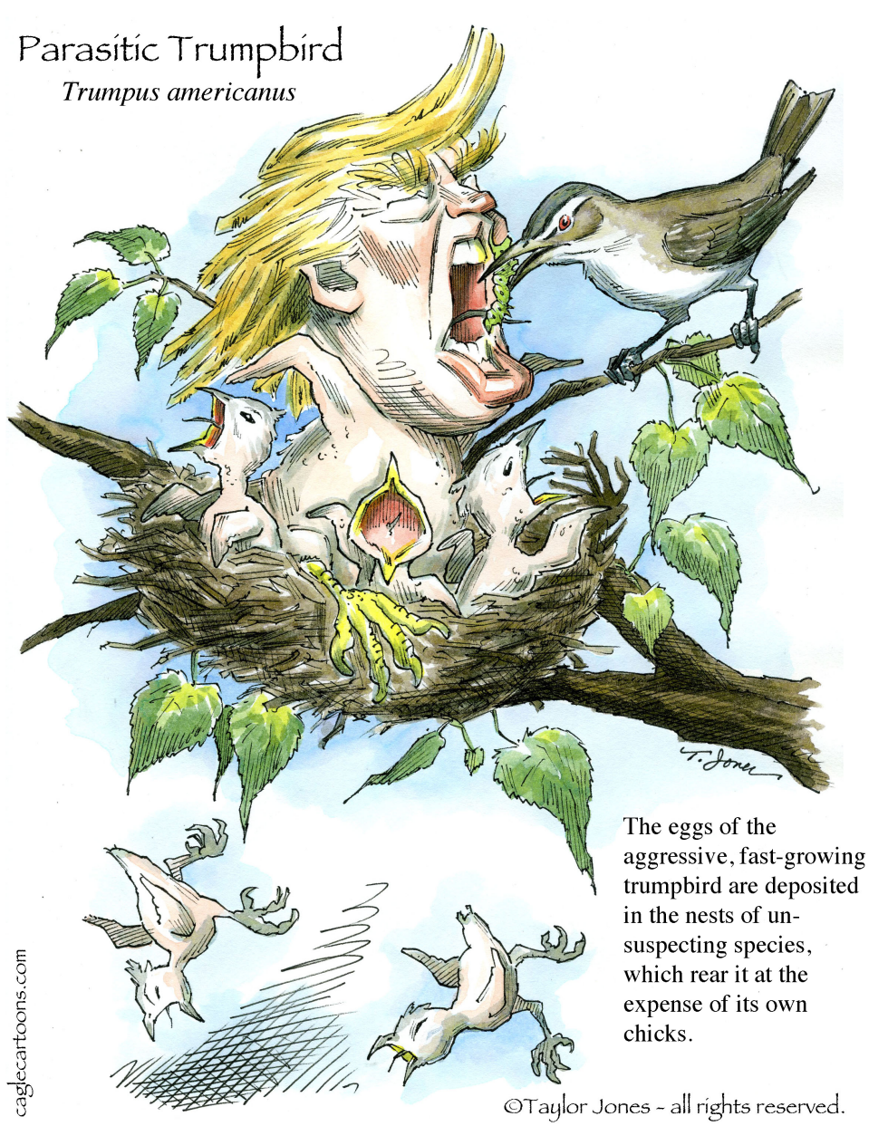 Springtime for Donald - COLOR