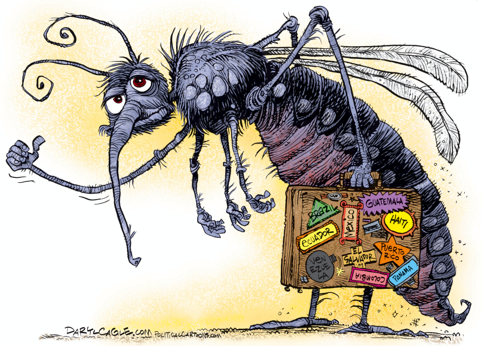 Zika Virus Mosquito COLOR CORRECTION