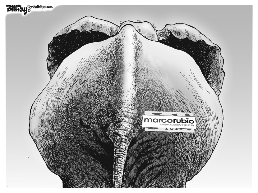 BUMPER STICKERS