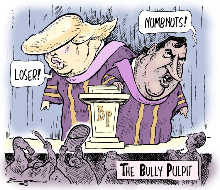 Billedresultat for bully pulpit