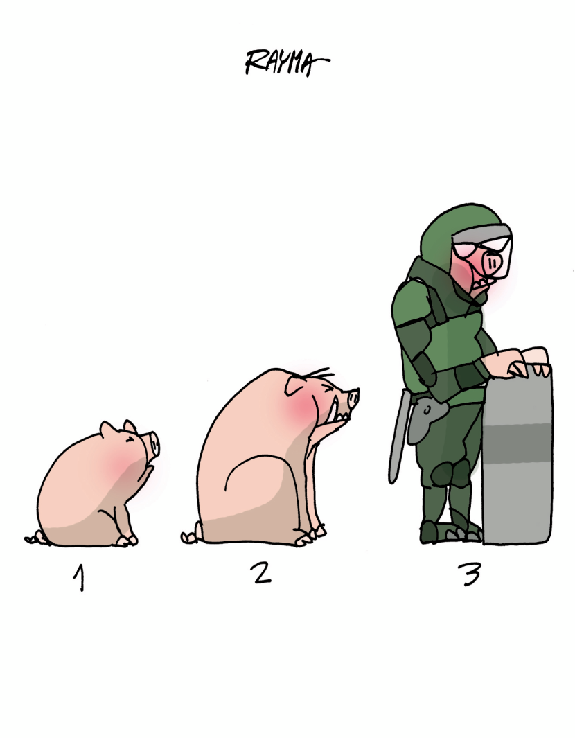Pigs