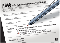 TAXES,  by Randy Bish