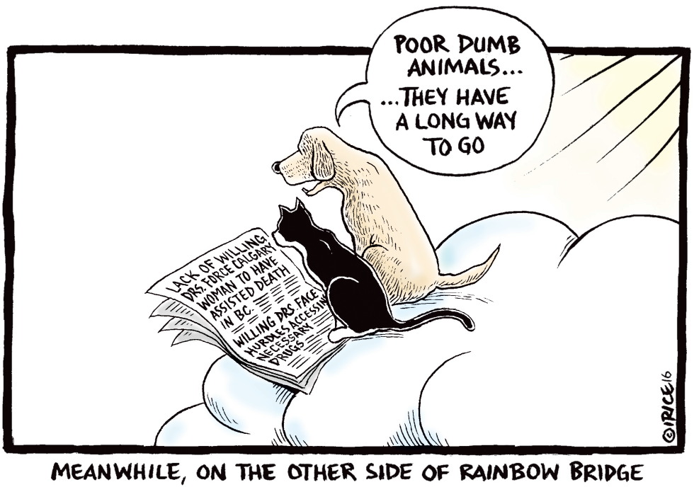 On The Other Side of Rainbow Bridge