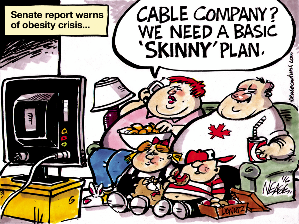 Obesity Report