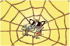SPIDER OFFICE by Chris Slane