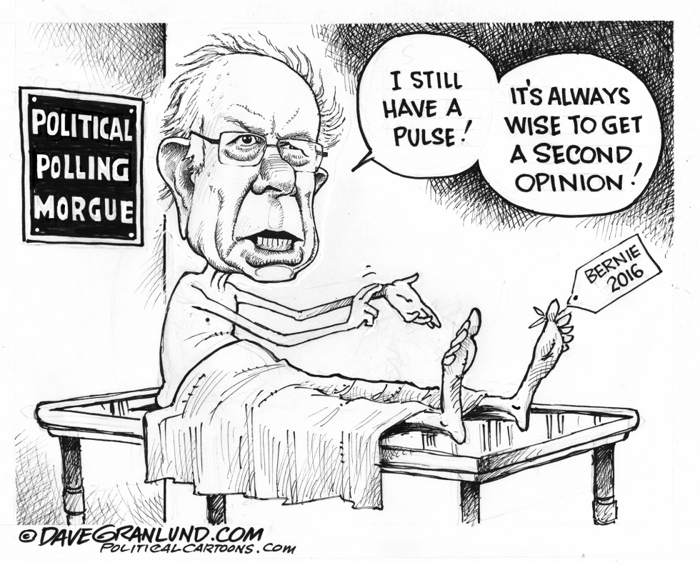 Bernie 2016 and polls