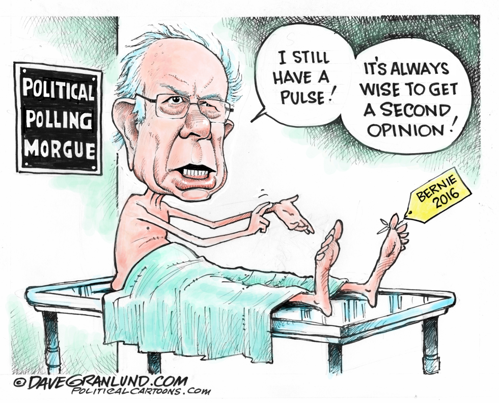 Bernie 2016 and polls COLOR