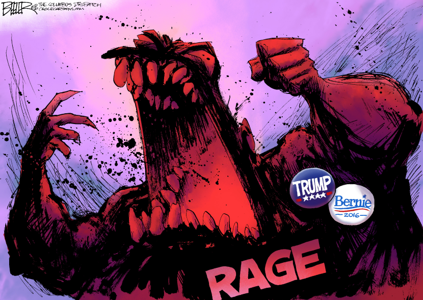 The Voter COLOR