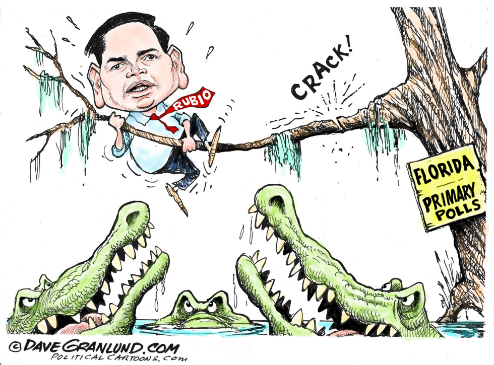Rubio and Florida polls COLOR
