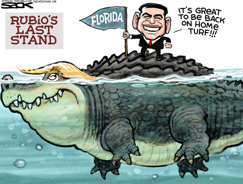 Rubio Gator COLOR