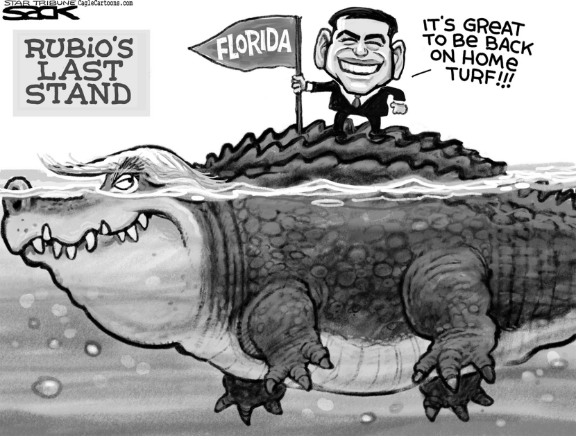 Rubio Gator