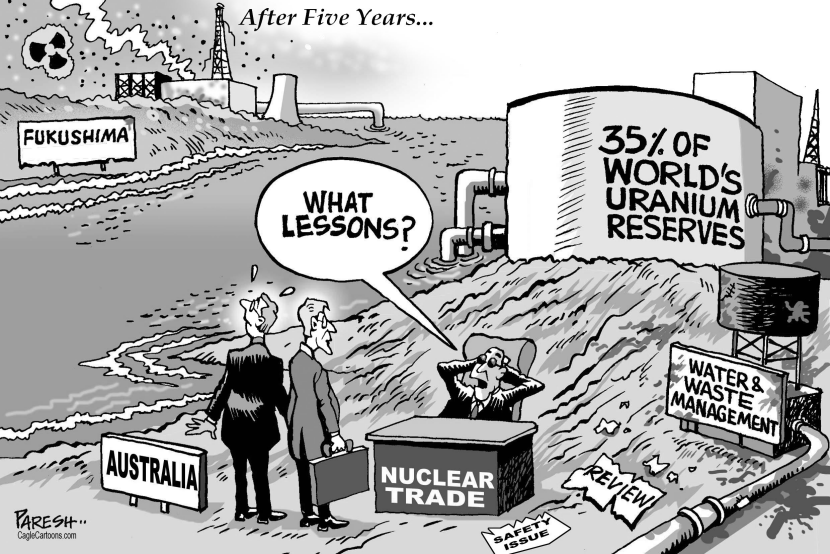 Fukushima Lessons