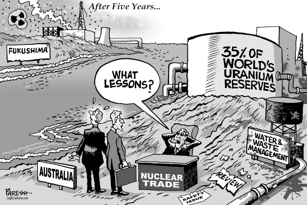 Fukushima Lessons
