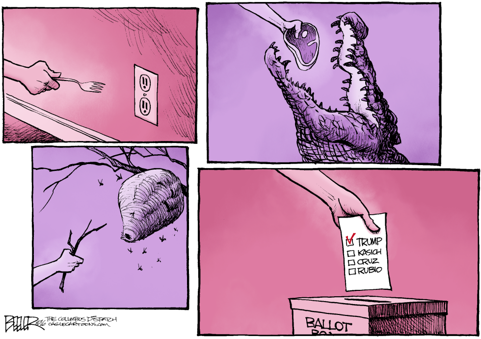Dangerous Vote COLOR