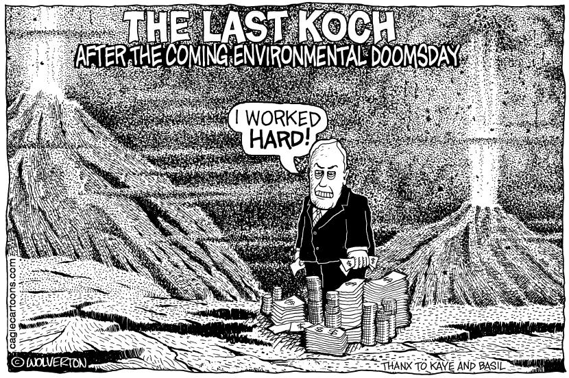 Last Koch Standing