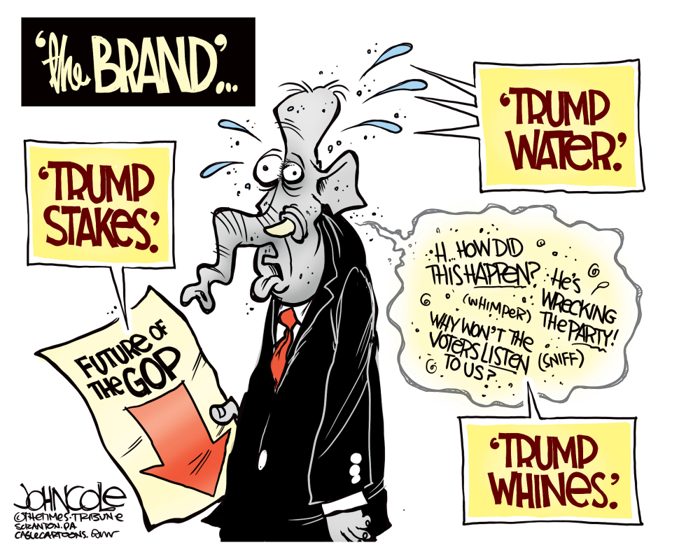 The Trump Brand COLOR