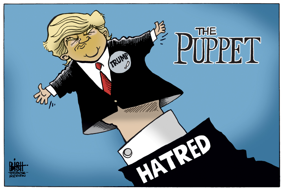 TRUMP HATRED, COLOR