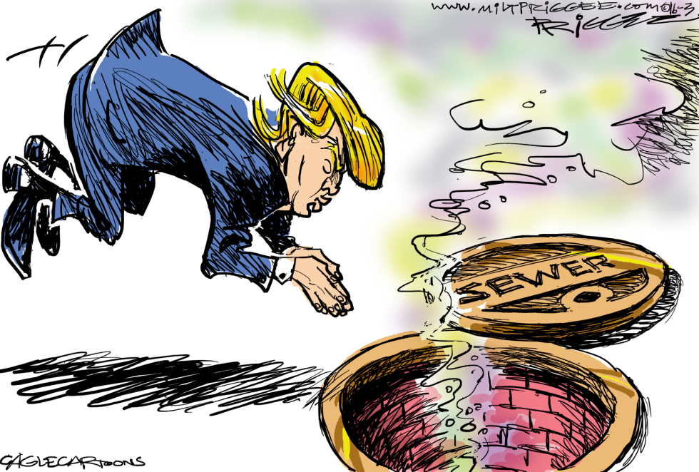 Trump COLOR