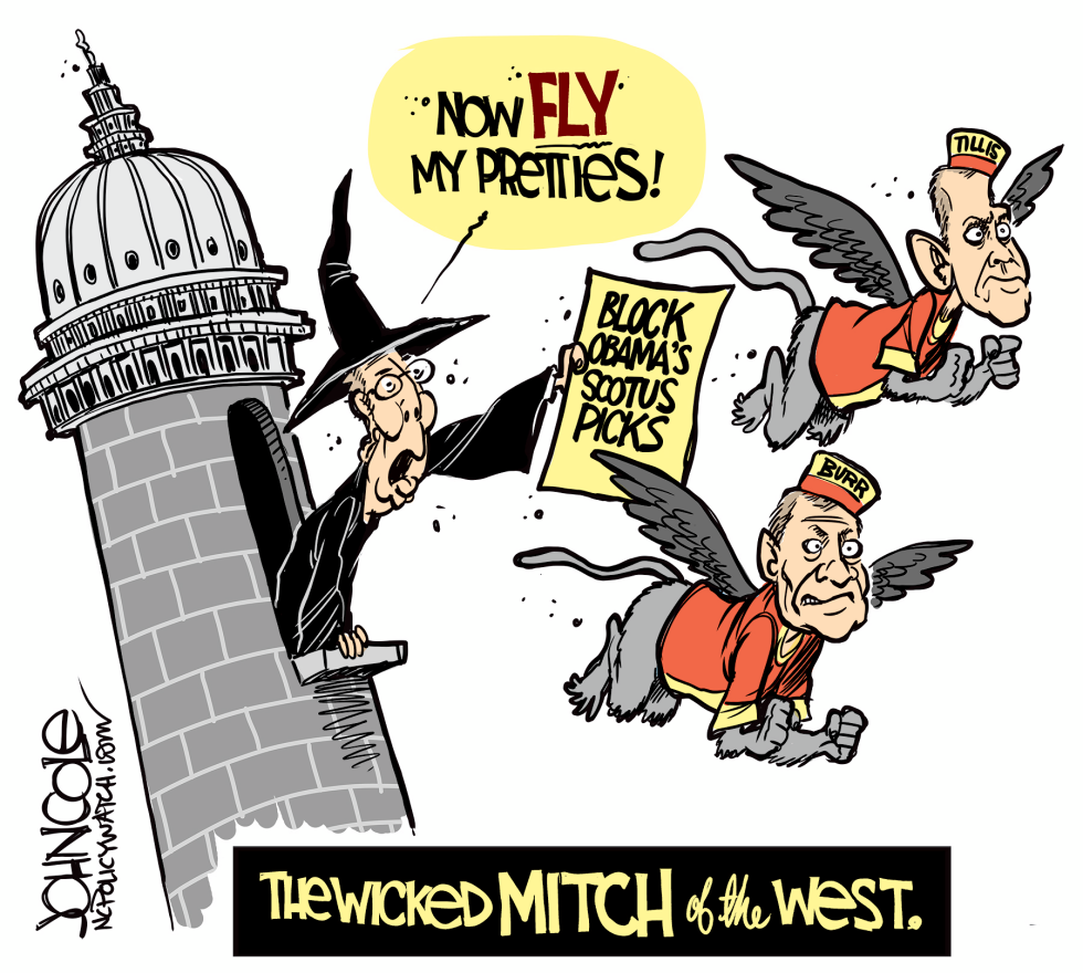 LOCL NC -- McConnell Tillis and Burr COLOR