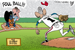 FOUL BALL by Bruce Plante