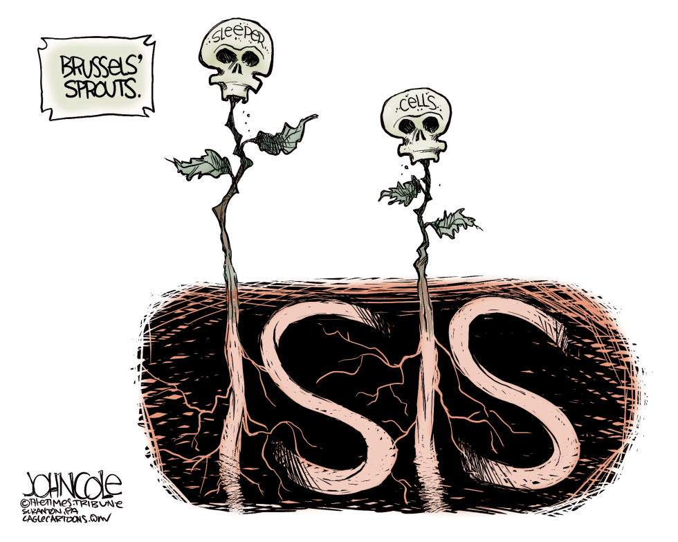 Brussels and ISIS COLOR
