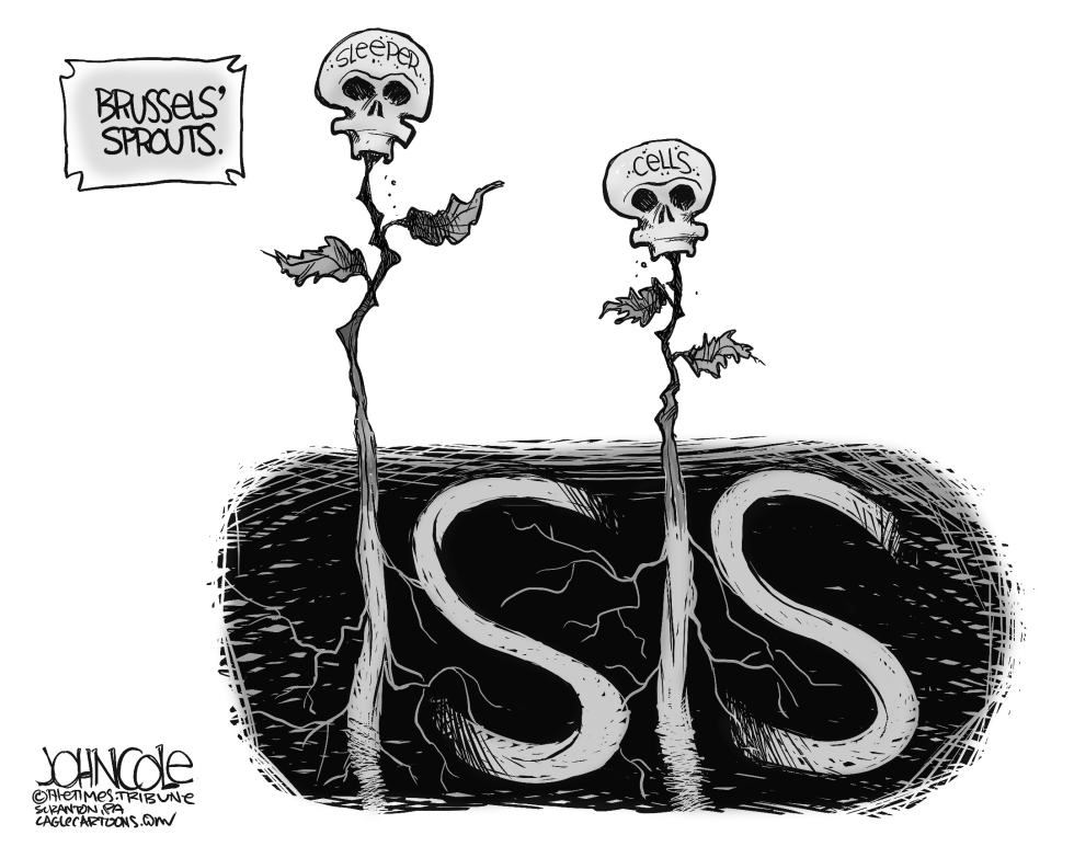 Brussels and ISIS BW