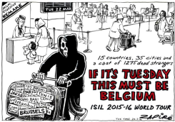 MUST BE BELGIUM by Zapiro