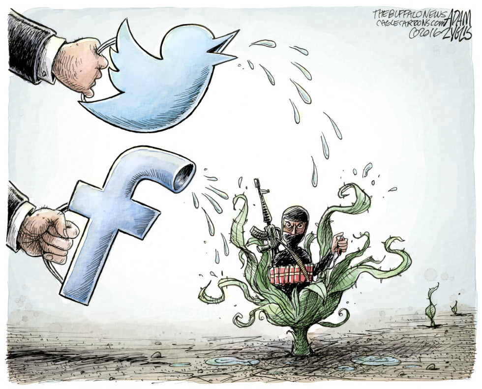 Growing Radicalism COLOR