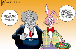 ANYBODY BUT TRUMP by Bruce Plante