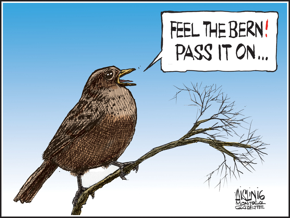 Bernie's birds