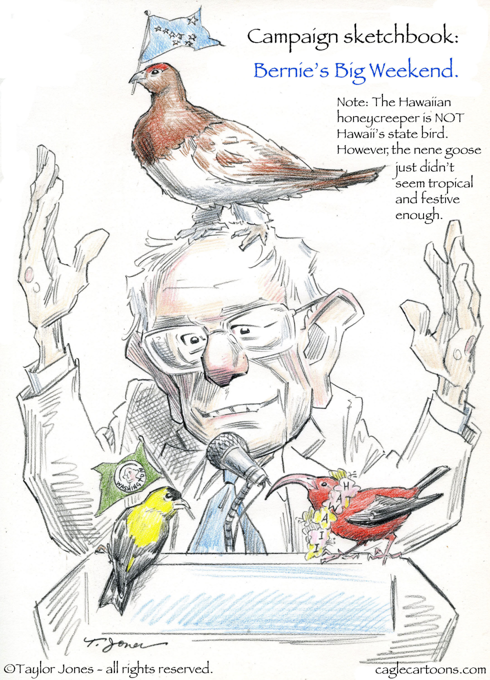 Bernie's Big Weekend - COLOR