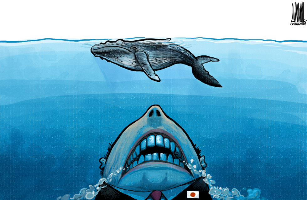Jaws