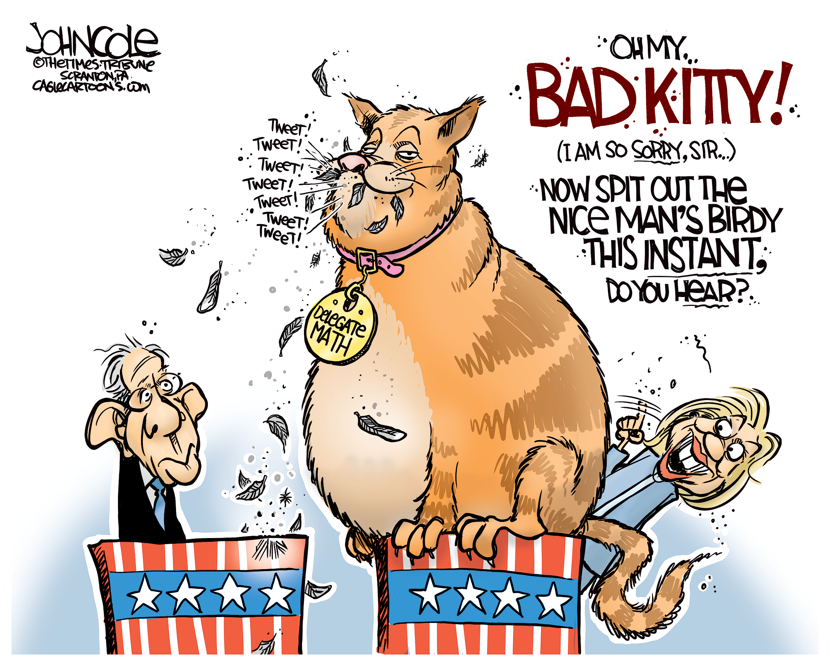 Hillary cat and Bernie bird COLOR