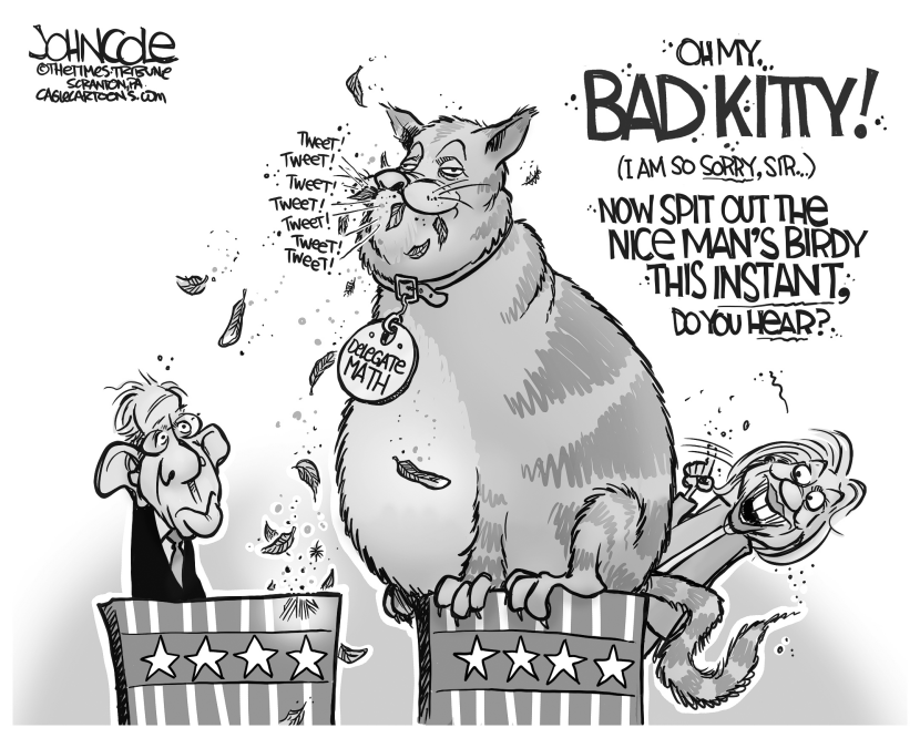 Hillary cat and Bernie bird BW