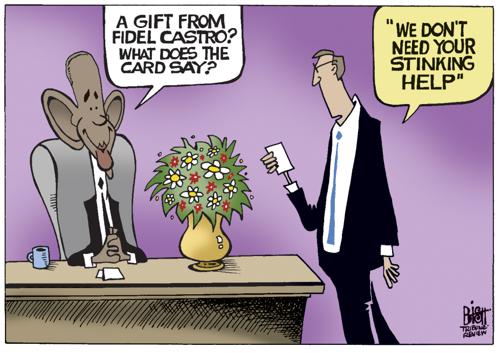 FLOWERS FROM FIDEL, COLOR
