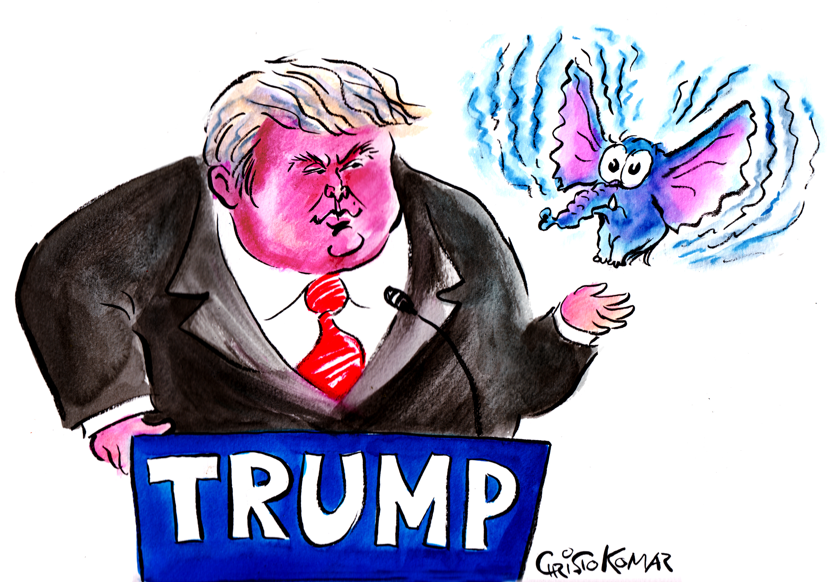 Trump's bird