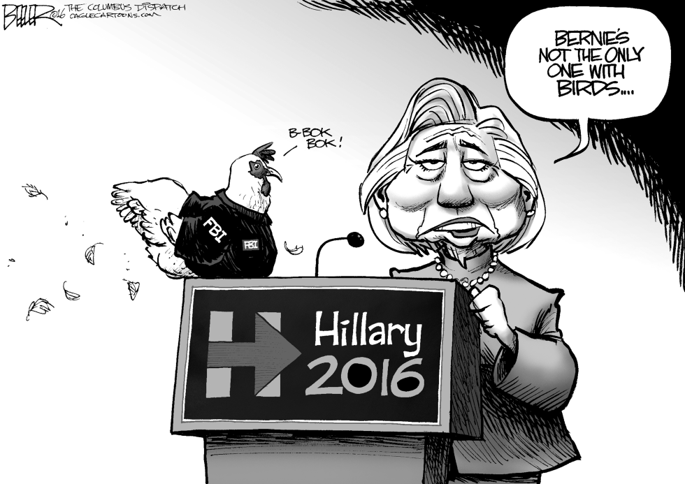 Campaign Birds