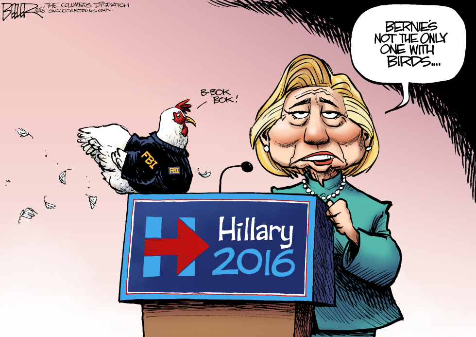 Campaign Birds COLOR