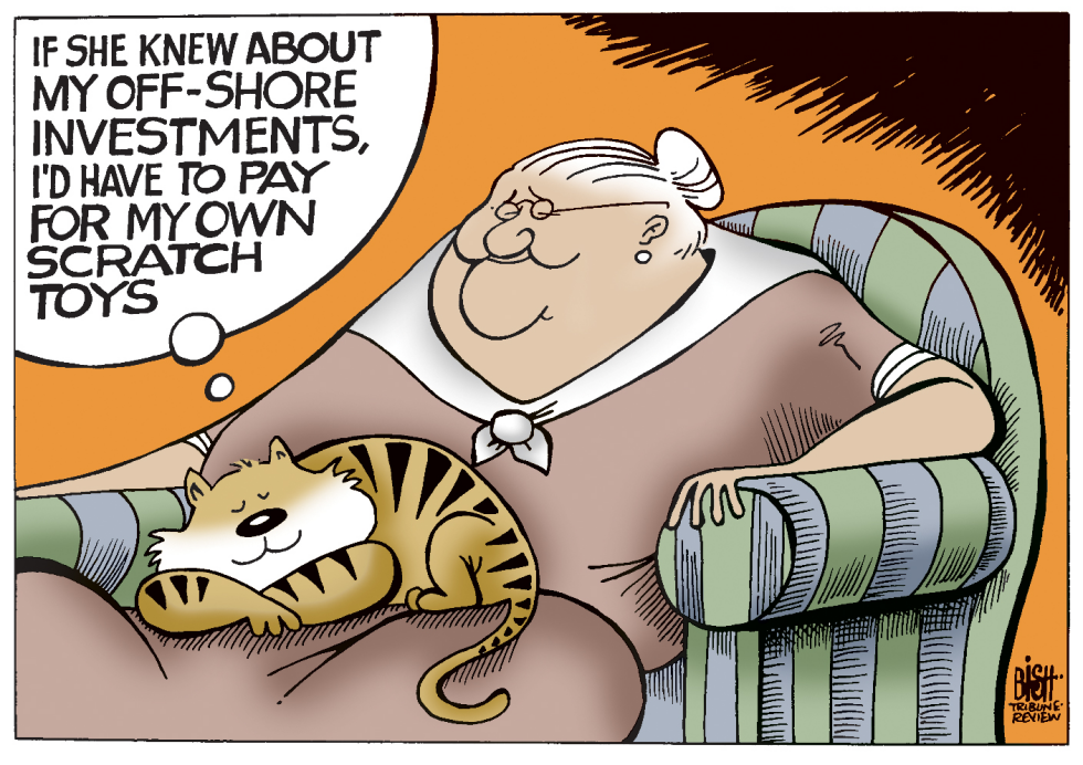 INVESTMENTS, COLOR
