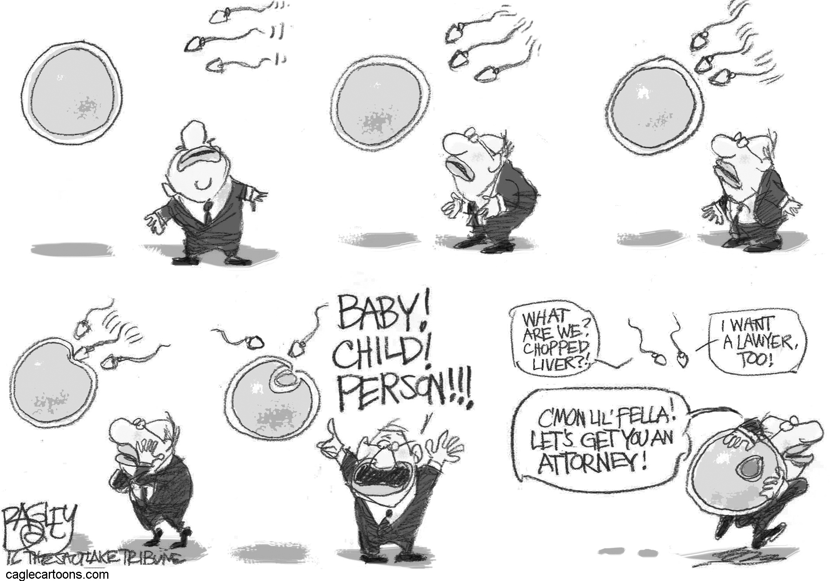 Blastocyst Lives Matter