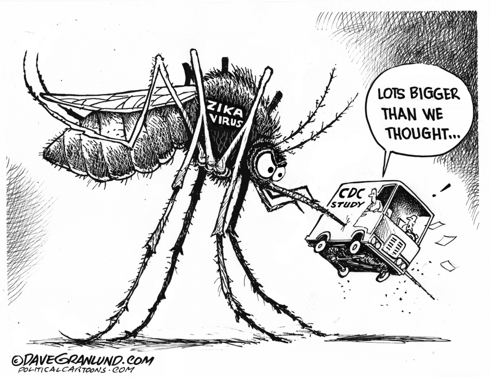 Zika virus threat